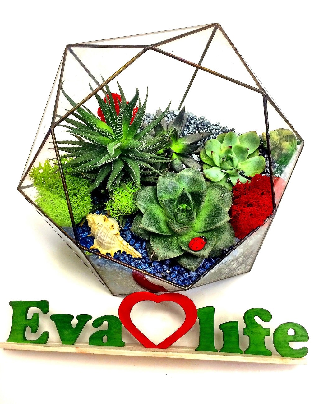 Eva life love. Флорариумная индустрия. Eva Life. Evalife Studio. Eva Life 2022.
